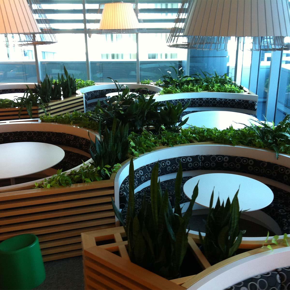 public space with plants